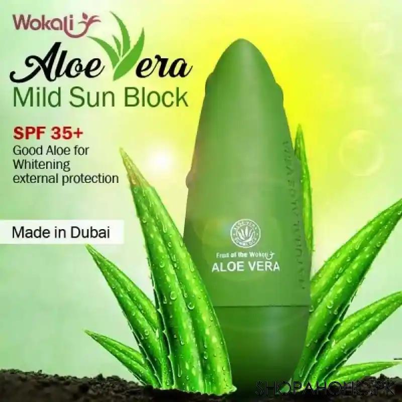 aloe vera plant price in pakistan Buy Aloe Vera Mild Sun Block at the Best Price in Pakistan – Shopaholic.pk
