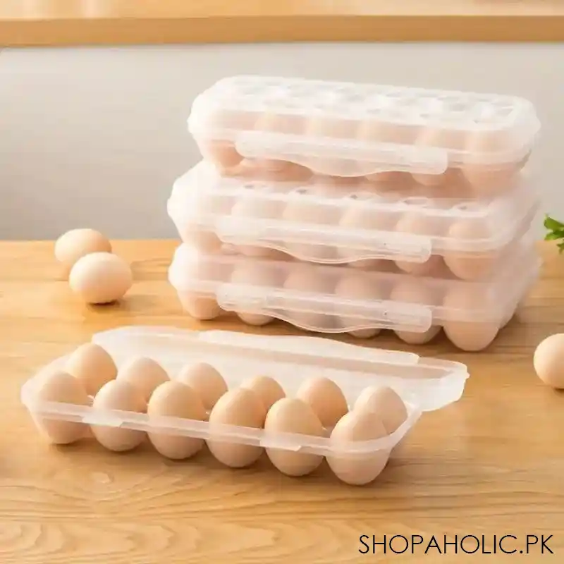 10 grid snap on egg box image4