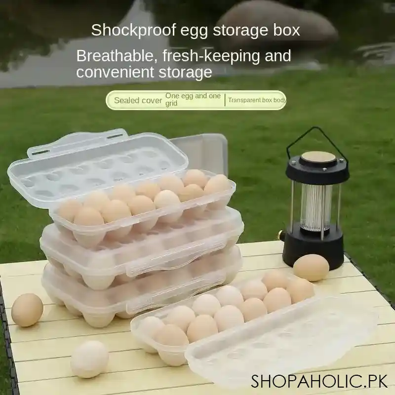 10 grid snap on egg box main image