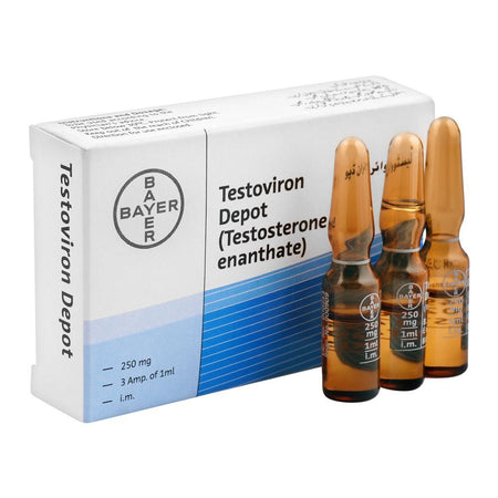 Bayer Pharmaceuticals Testoviron Injection, 250mg, 3-Pack - Main Image
