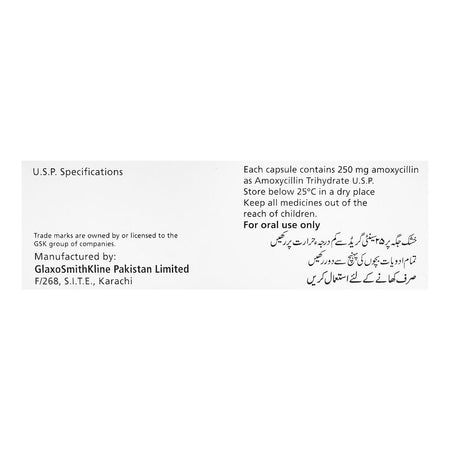 GSK Amoxil Capsule, 250mg, 1-Strip - Image 4