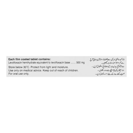 Barrett Hodgson Dynaquin Tablet, 500mg, 10-Pack - Image 3