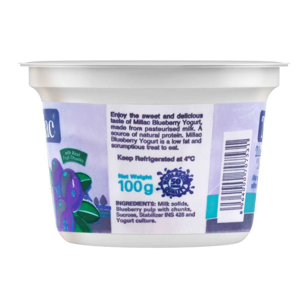 Millac Blueberry Fruit Yogurt, 100g - Image 2