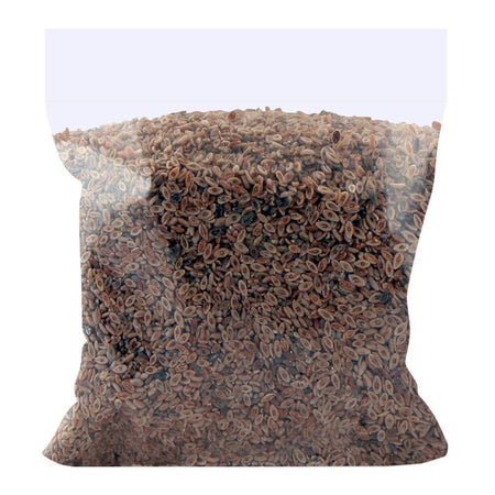 Ispaghol Sabut 100g - Main Image