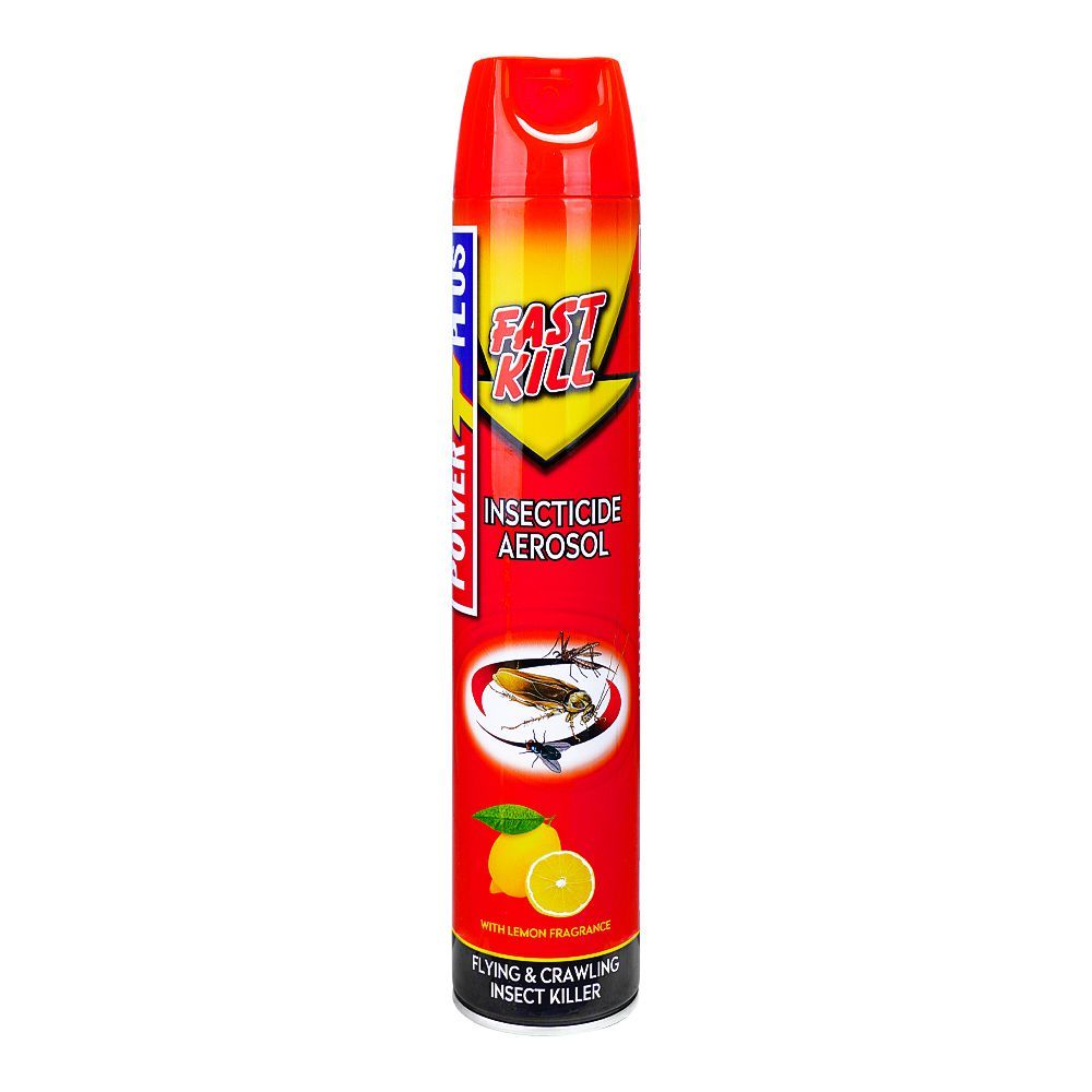 Buy Power Plus Fast Kill Insecticide Aerosol, 600ml – Shopaholic.pk