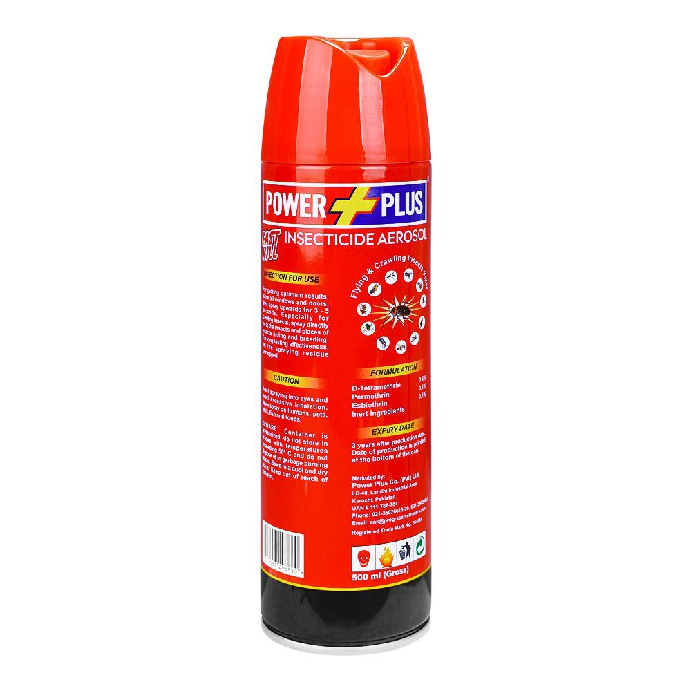 Buy Power Plus Fast Kill Insecticide Aerosol, 500ml – Shopaholic.pk