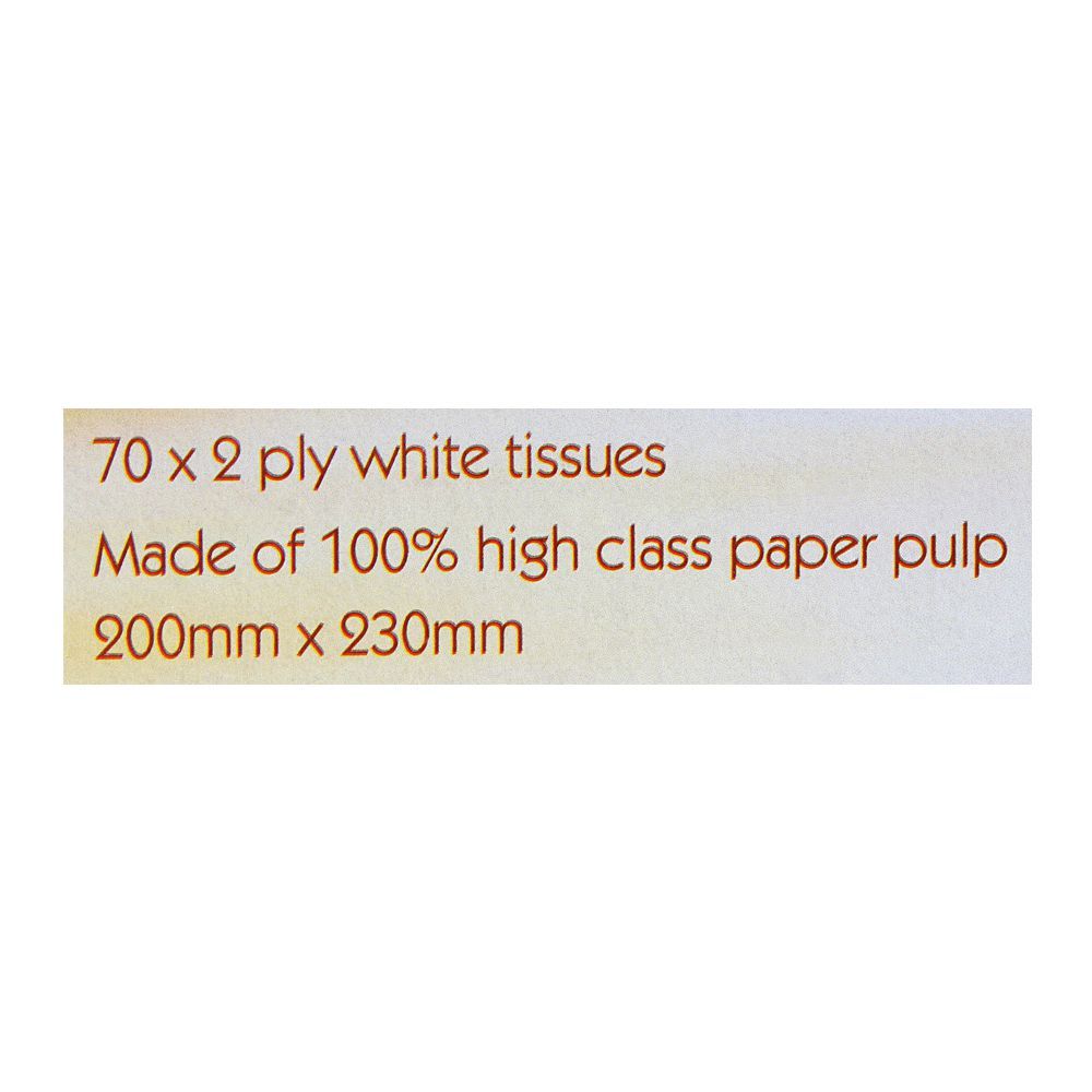 Masafi Tissue 70x2 Ply - Image 4