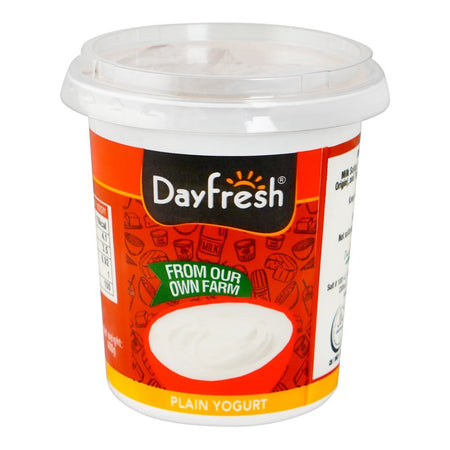 Day Fresh Yogurt Plain Cup, 400g - Main Image