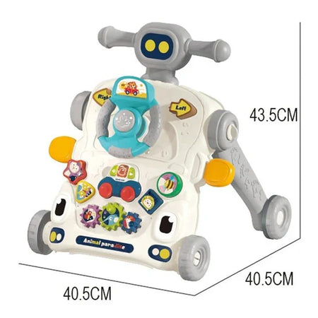 Multifunctional Activity Walker 3 In 1