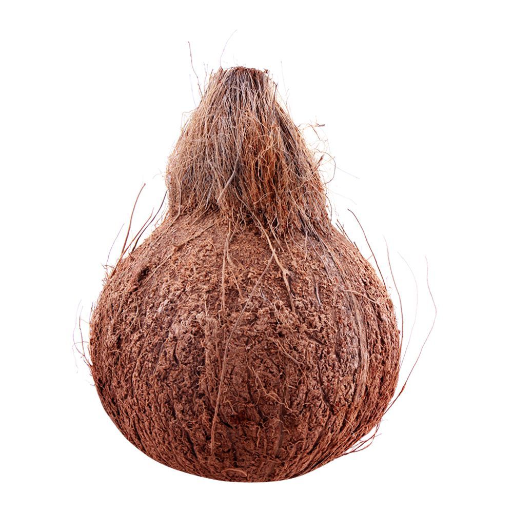 Coconut, 1 Piece - Main Image