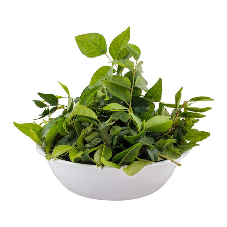 Curry Leaves (Kari Patta) - Main Image