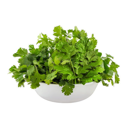 Coriander (Dhania) Leaves - Main Image