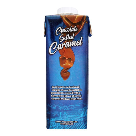 Day Fresh Chocolate Salted Caramel Milk, 225ml - Image 2