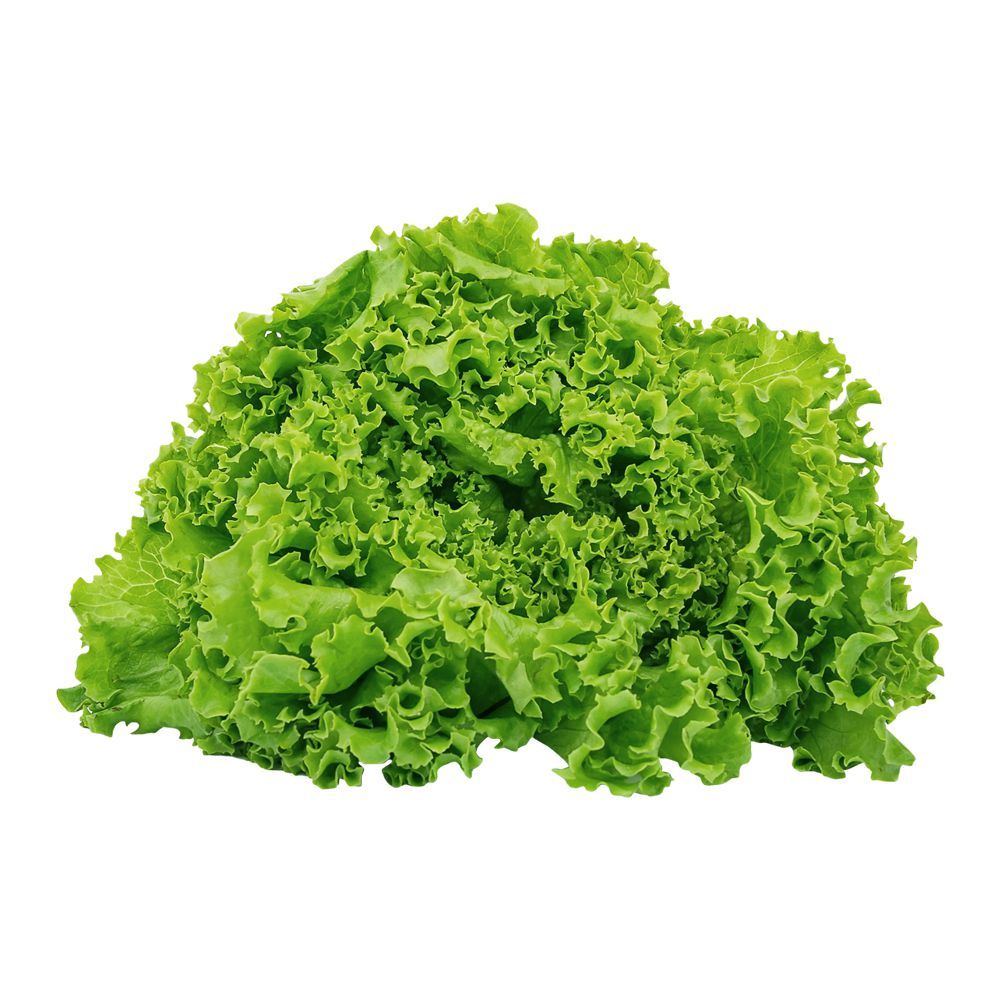 Salad Leaves - Main Image