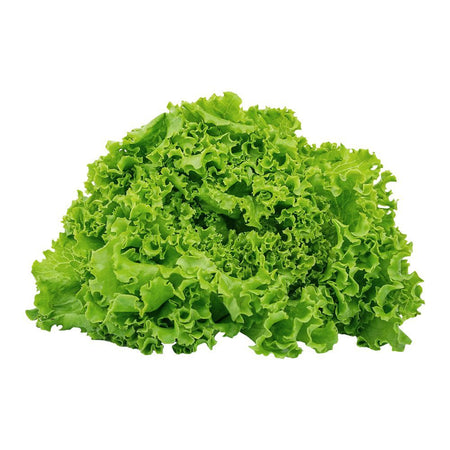 Salad Leaves - Main Image