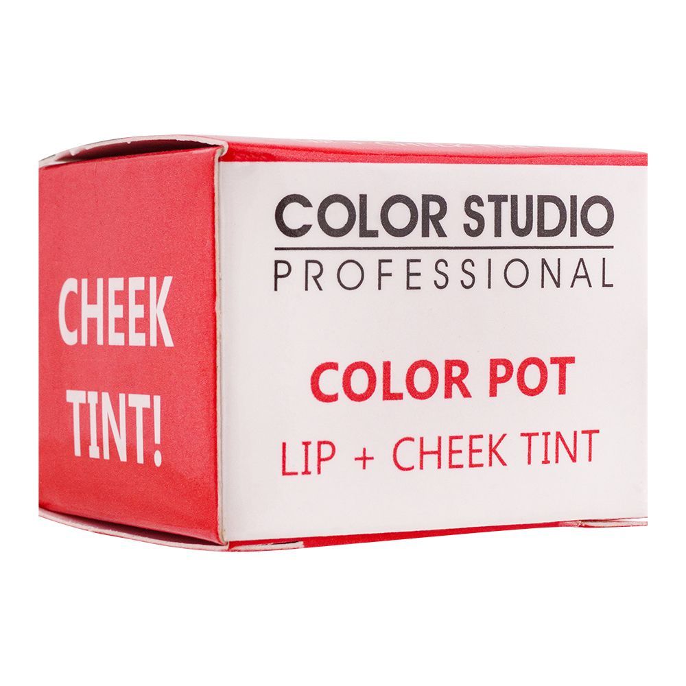 Color Studio Professional Indian Pink Color Pot, Lip + Cheek Tint - Image 3