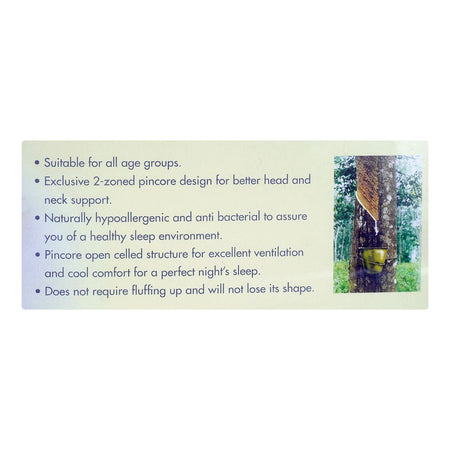 Getha 100% Natural Latex Award S Pillow, 62 x 37 x 14 cm - Image 3