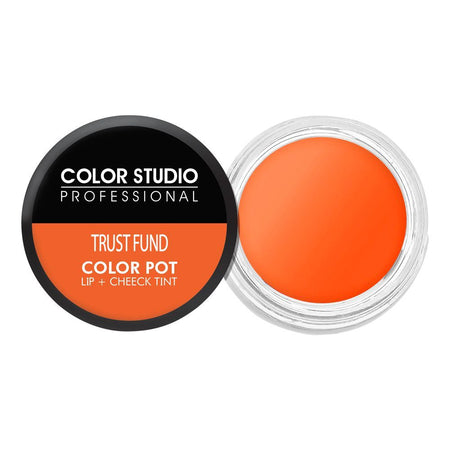 Color Studio Color Pot Lip and Cheek Tint, Trust Fund - Main Image