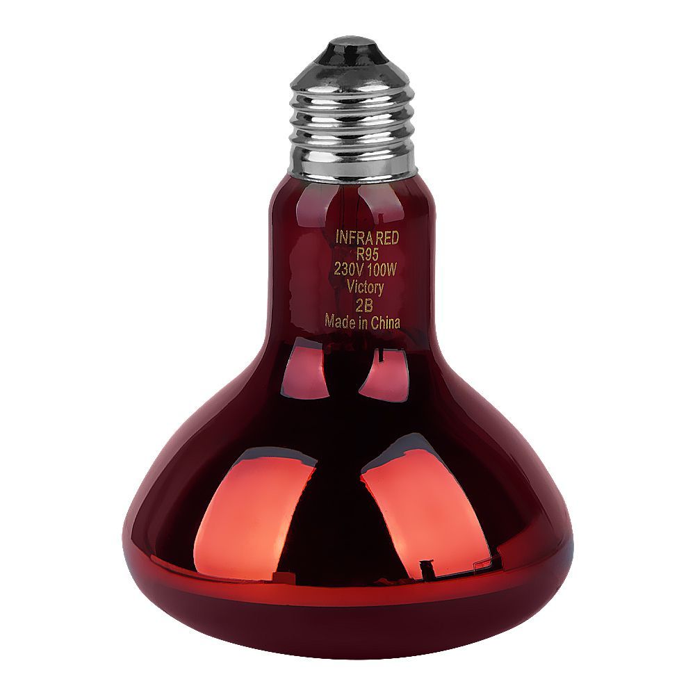 100 Watt Spare Bulb For Infrared Lamp - Main Image