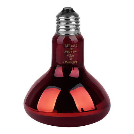 100 Watt Spare Bulb For Infrared Lamp - Main Image