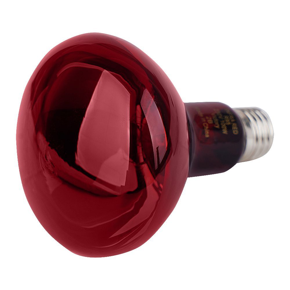 100 Watt Spare Bulb For Infrared Lamp - Image 2
