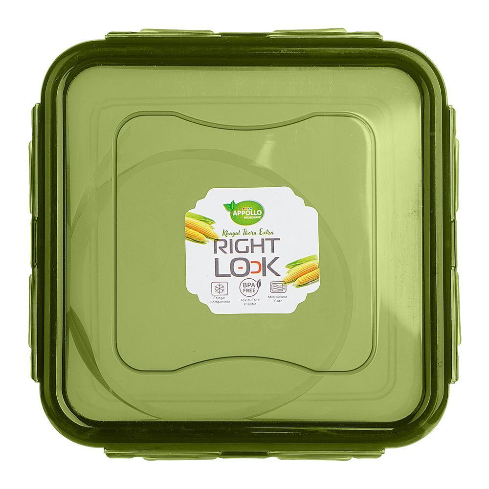 Appollo Right Lock Plastic Food Keeper, Medium, Green - Image 3