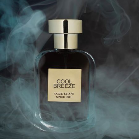 Saeed Ghani Cool Breeze Perfume Inspired By Cool Water, Eau de Parfum, For Men, 50ml Image 3