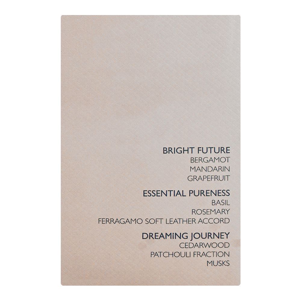 Salvatore Ferragamo Bright Leather Perfume, Eau de Toilette, For Men, 100ml - Image 5