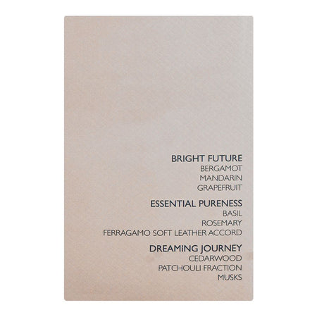 Salvatore Ferragamo Bright Leather Perfume, Eau de Toilette, For Men, 100ml - Image 5