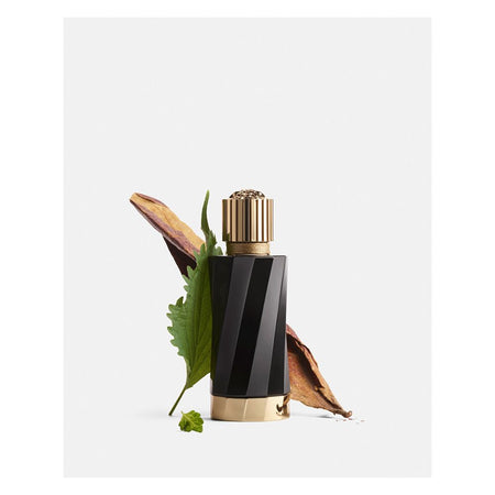 Versace Atelier Tabac Imperial Perfume, Eau de Parfum, For Men & Women, 100ml - Main Image