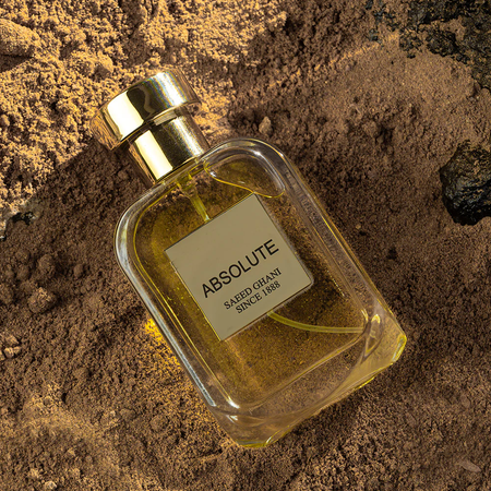 Saeed Ghani Absolute Perfume Inspired By Terre D'Hermes, Eau de Parfum, For Men, 50ml Main Image