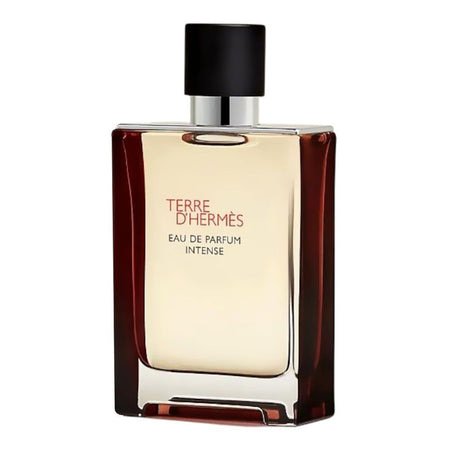 Terre D'Hermes Rechargeable Intense, Eau De Parfum, For Men, 100ml - Main Image