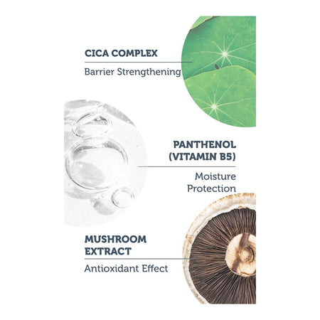 The Purest Solution Complex 1% Panthenol 1% + Mushroom Soothing & Soothing Cica Serum, Vegan, For All Types Of Skin, 30ml - Image 2