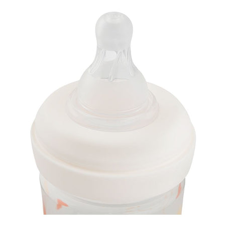 Farlin Grow With Colors PP Wide Neck Feeding Bottle, For 0 Months+ BPA Free, 150ml, Orange, AB-42021-E - Image 3