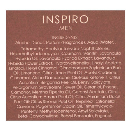 Riiffs Inspiro Men, Eau De Parfum, For Men, 100ml - Image 3