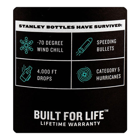 Stanley Go Series Quick-Flip Water Stainless Steel Bottle, Blue, 0.7 Liter, BPA Free, 10-09149-141 - Image 4