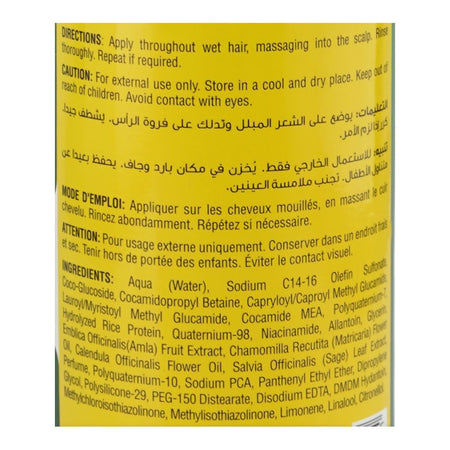Bio Luxe Naturals Fruit Based Amla Repairing Shampoo, Niacinamide, For Dry Hair, 480ml - Image 3