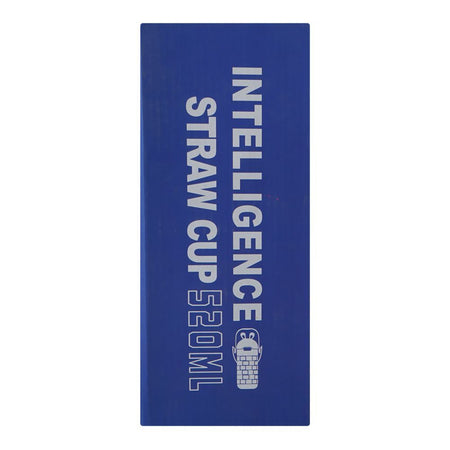 Warq Notes Intelligence Straw Water Bottle, Brown, 520ml - Image 6
