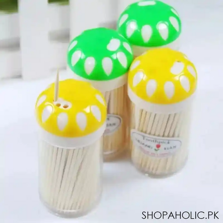 150 pcs disposable fruit sticks image3