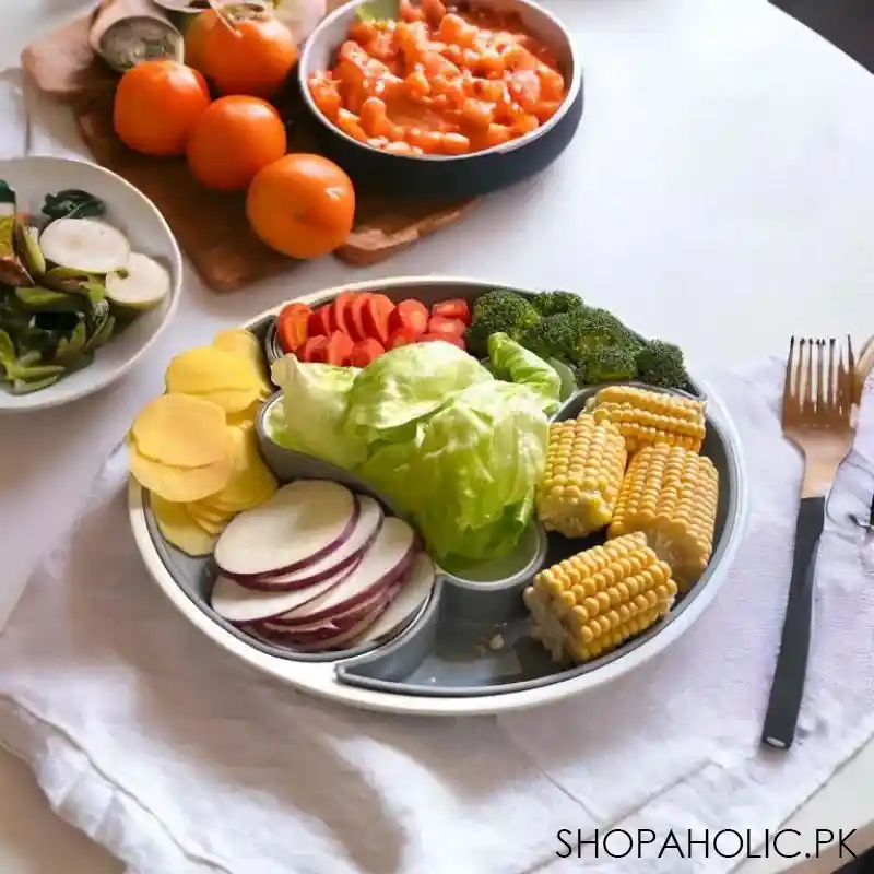 4 compartment dolphin dry fruit tray image6
