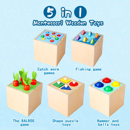 5 in 1 Cube Wooden Montessori Toy