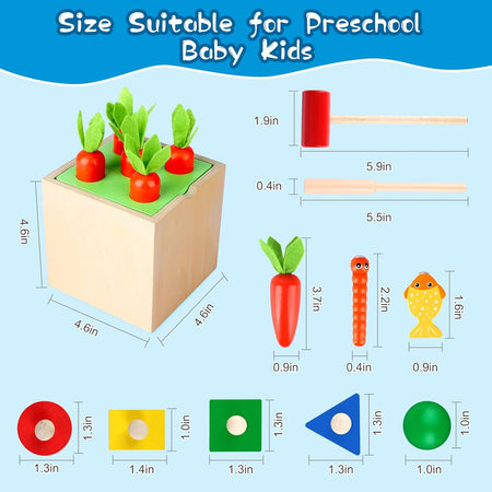 5 in 1 Cube Wooden Montessori Toy