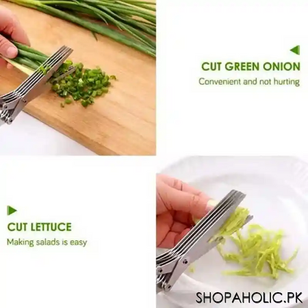 5 layer kitchen scissor with cleaning brush (highest quality) image5