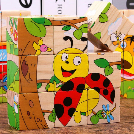 6-in-1 Wooden Block Puzzle (Random Design)