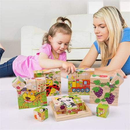 6-in-1 Wooden Block Puzzle (Random Design)