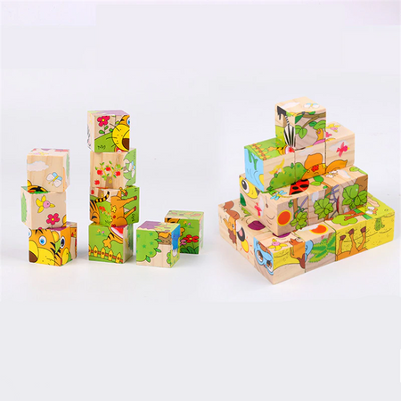 6-in-1 Wooden Block Puzzle (Random Design)