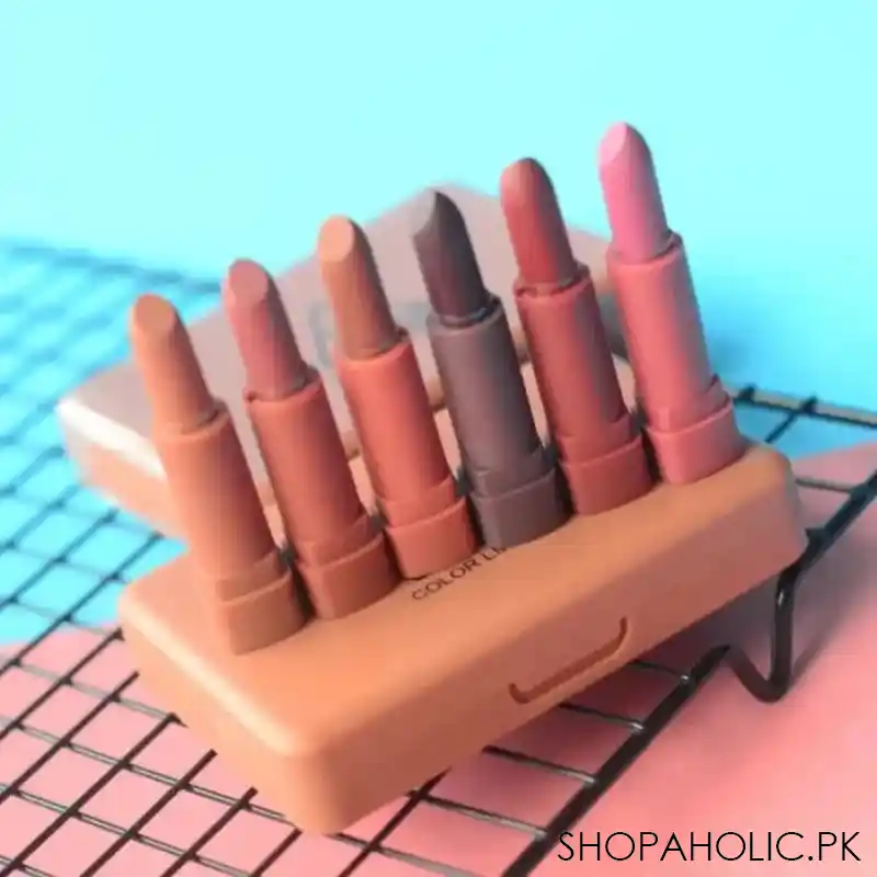 6 pcs pumpkins color matte lipstick with mirror image2