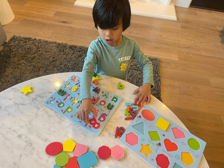 Chunky Shapes Wooden Puzzle