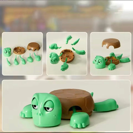 3D Panicked Turtle Coaster - Image 4
