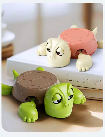 3D Panicked Turtle Coaster - Image 2